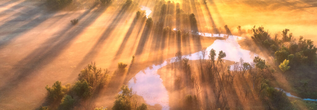 Aerial view of a serene landscape at sunrise, with golden light streaming through tall trees casting long shadows over a misty river and lush greenery. The scene is tranquil and bathed in warm colors.