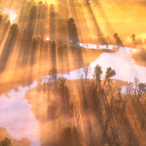 Aerial view of a serene landscape with a winding river surrounded by trees. Golden sunlight beams through, casting long shadows and creating a warm, ethereal atmosphere.