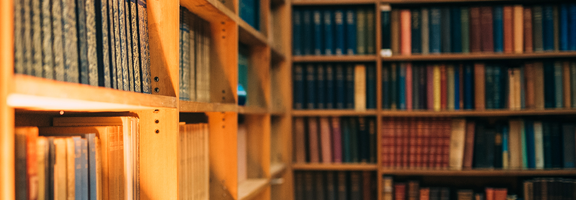 A warm-toned library scene with wooden bookshelves filled with various books. The sunlight softly illuminates the books, creating a cozy and inviting atmosphere. The shelves recede into the background, suggesting an extensive collection.